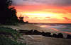 Turtle Beach Resort 